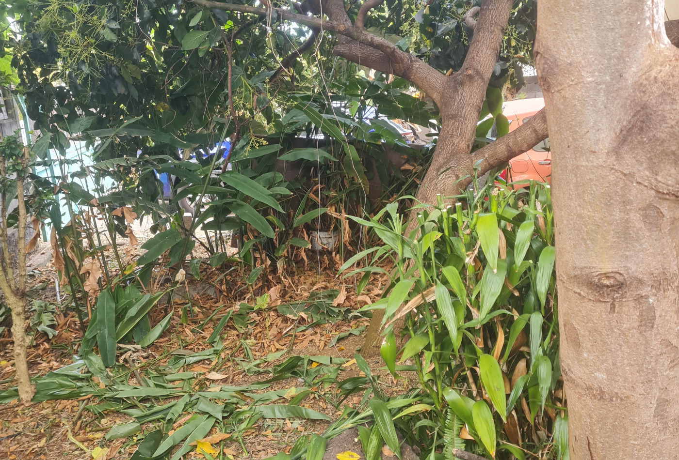 vente Maison Ravine Des Cabris - Photo 1