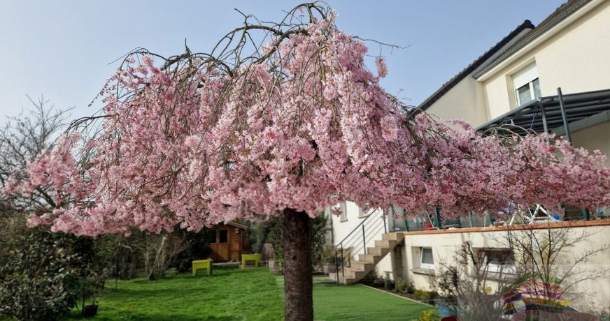 vente Maison Saran