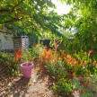 vente Maison Saran