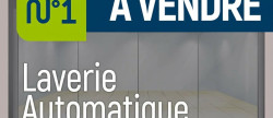 vente Nettoyage laverie entretien Lyon 5eme Arrondissement