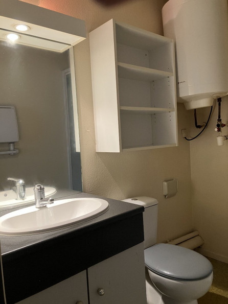 vente Appartement Lyon 3eme Arrondissement - Photo 6