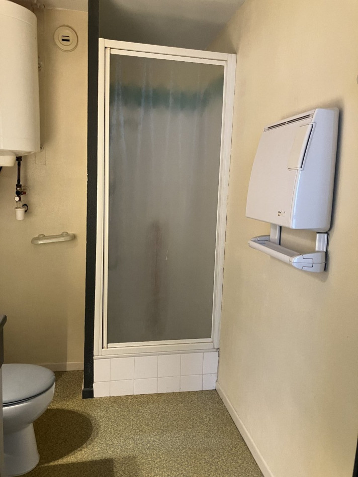 à vendre Appartement Lyon 3eme Arrondissement - Photo 7