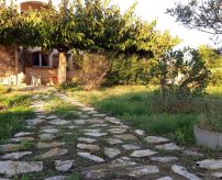 For sale Marseillan 690042501 Casarèse