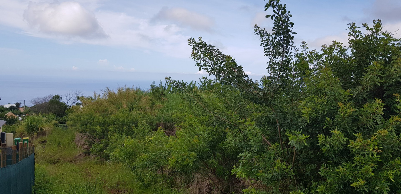 à vendre Terrain constructible Petite Ile - Photo 1