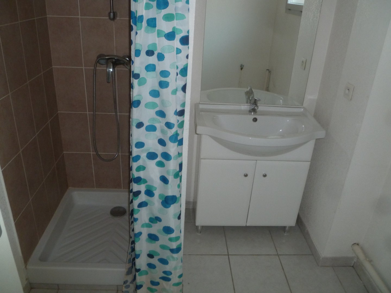 à vendre Appartement Lyon 8eme Arrondissement - Photo 8