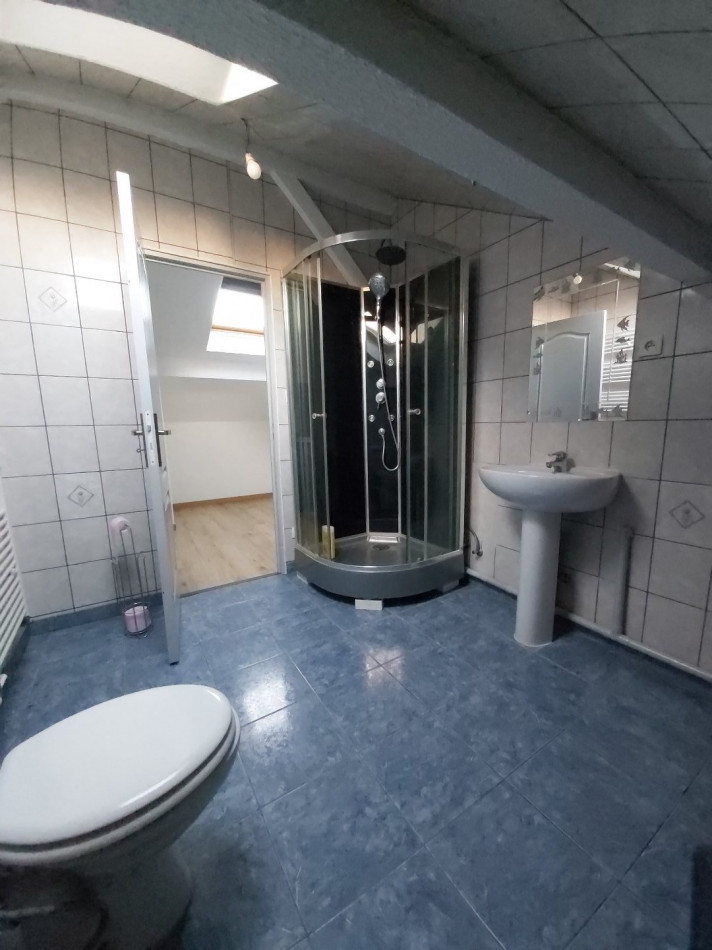 à vendre Maison Duntzenheim - Photo 15