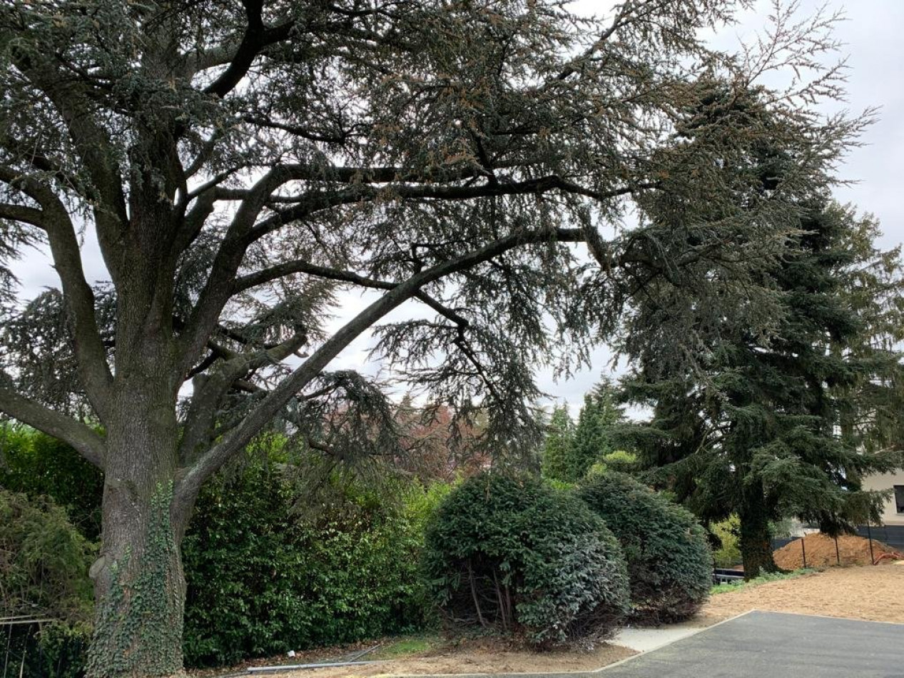 à vendre Duplex Champagne Au Mont D'or - Photo 9