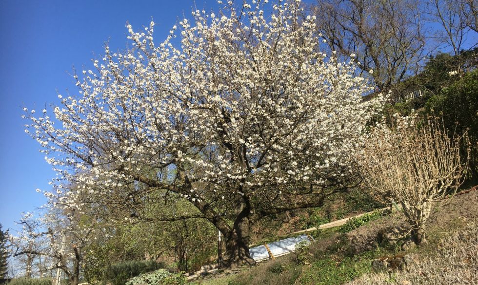 à vendre Rive De Gier