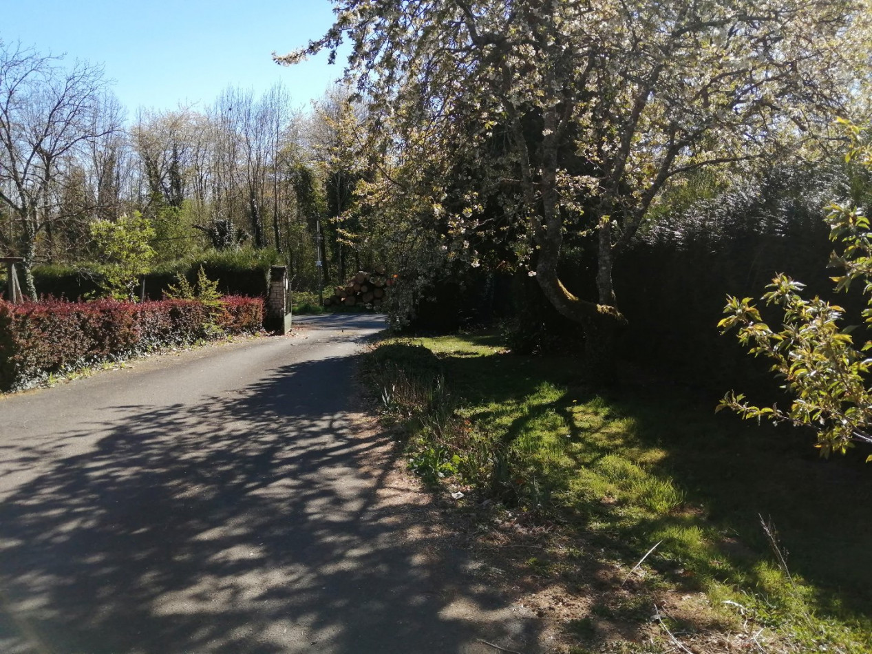 à vendre Propriété Perpezac Le Noir - Photo 3