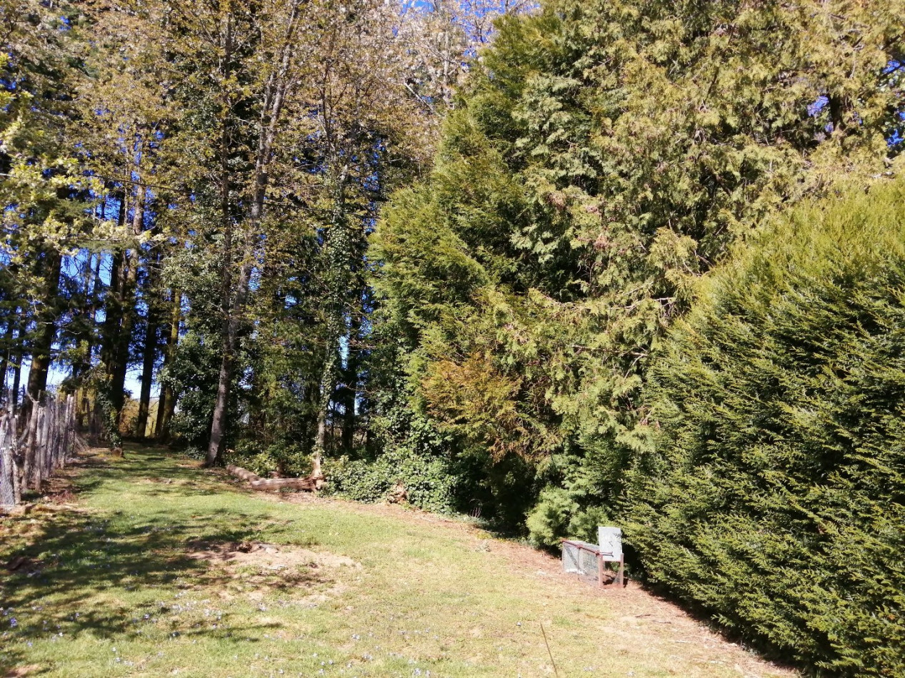 à vendre Propriété Perpezac Le Noir - Photo 4