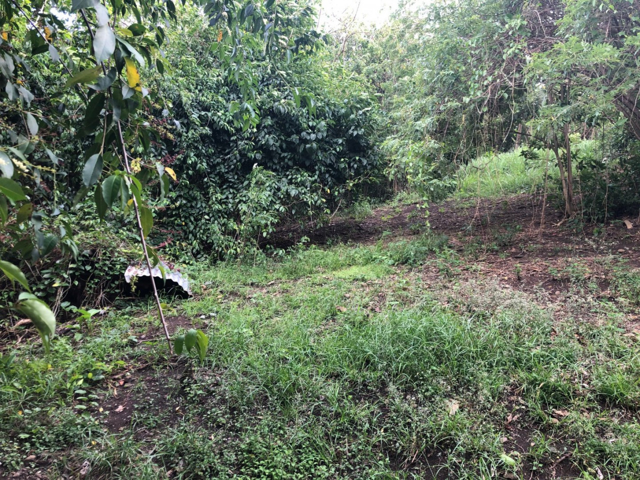 à vendre Terrain constructible Fort De France - Photo 2