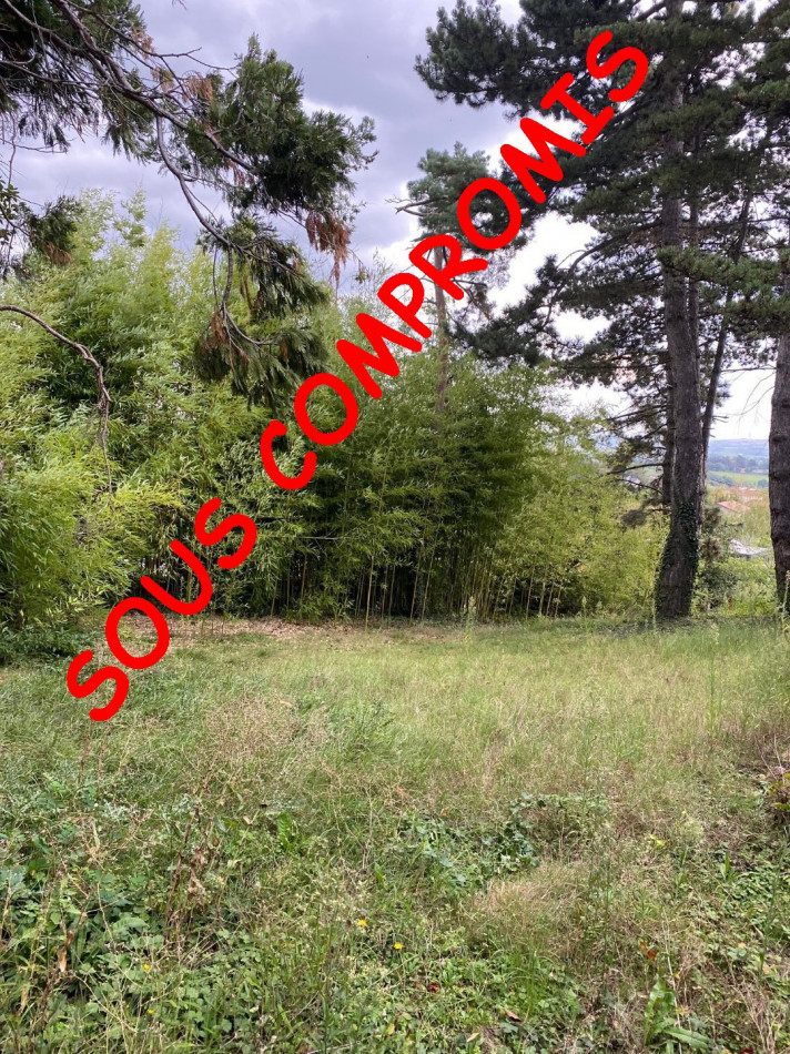 à vendre Terrain constructible Saint Martin La Plaine - Photo 1