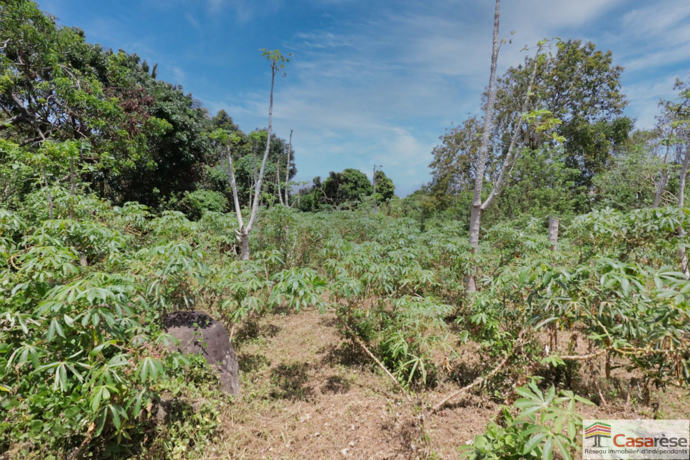 à vendre Terrain constructible Petite Ile - Photo 2