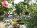à vendre Maison Le Grand Village Plage