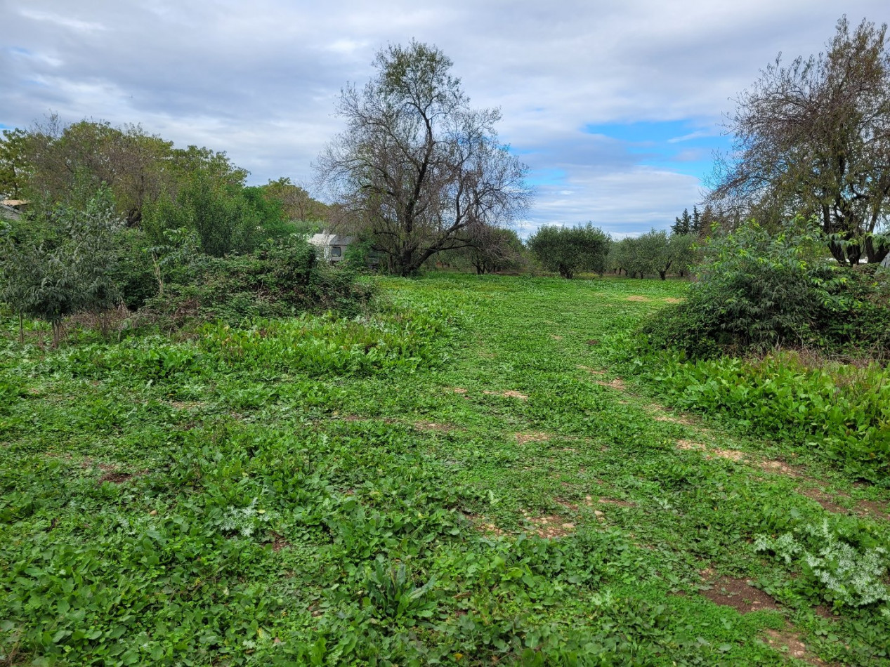 for sale Terrain agricole Manduel - Photo 3