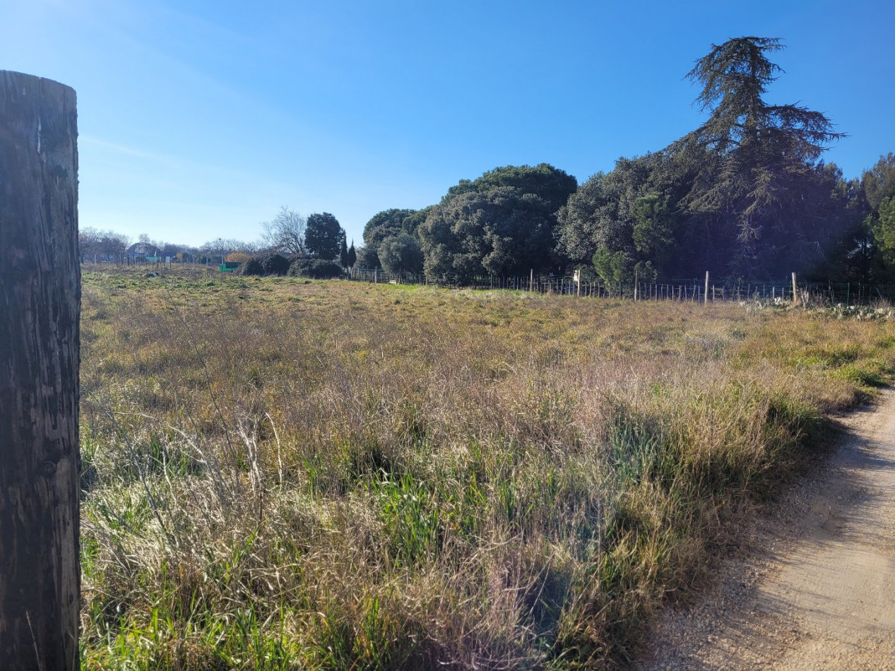 for sale Terrain agricole Manduel - Photo 3