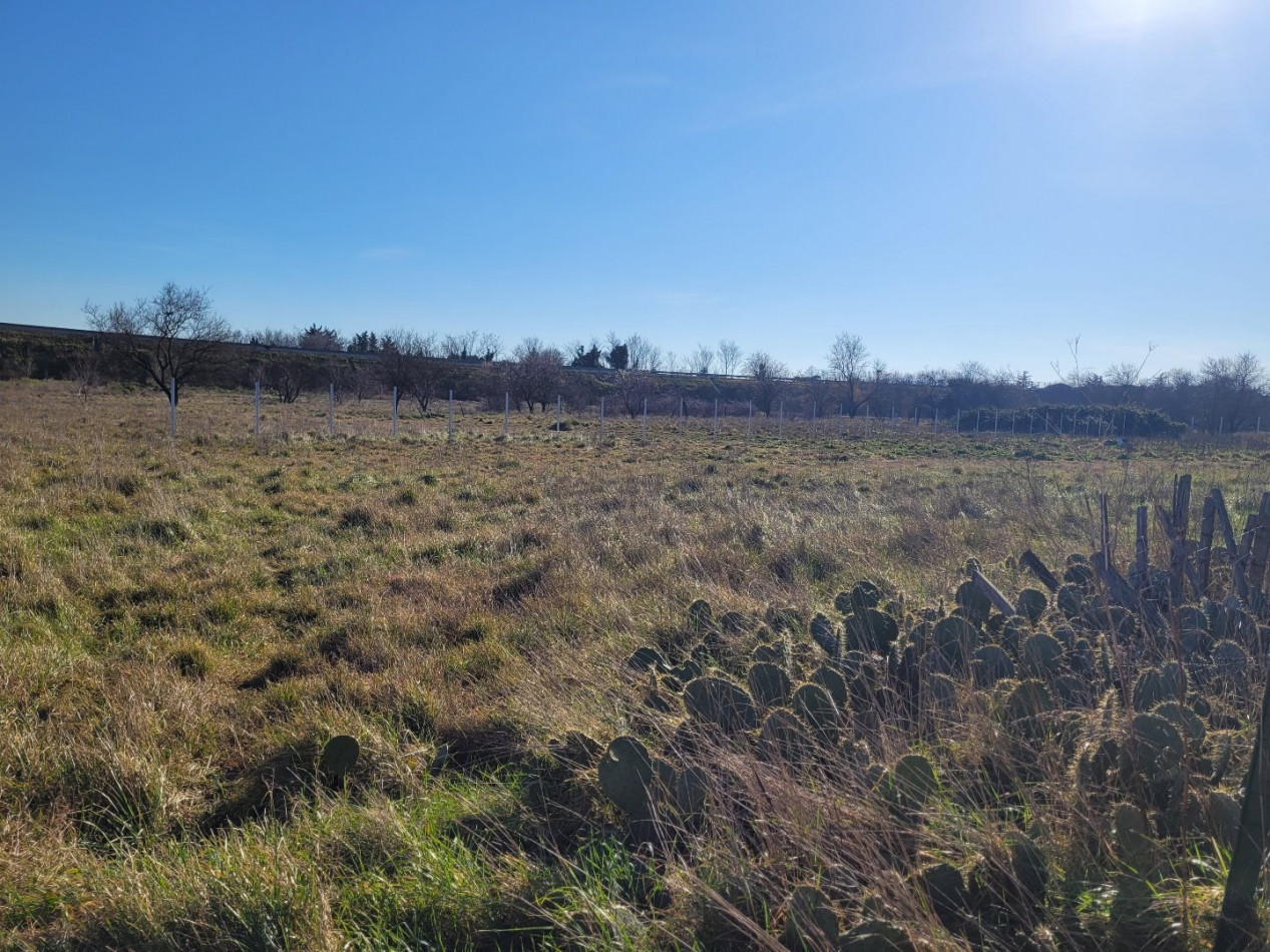 for sale Terrain agricole Manduel - Photo 4