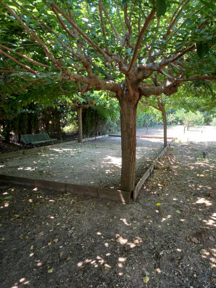 for sale Terrain Florensac - Photo 1