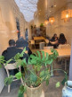 vente Restaurant Lyon 9eme Arrondissement