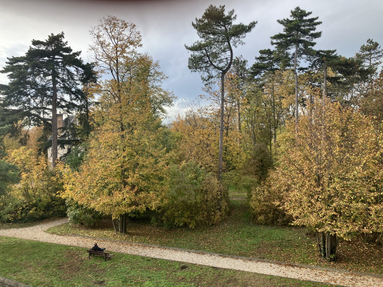 for sale Appartement Sainte Foy Les Lyon - Photo 3