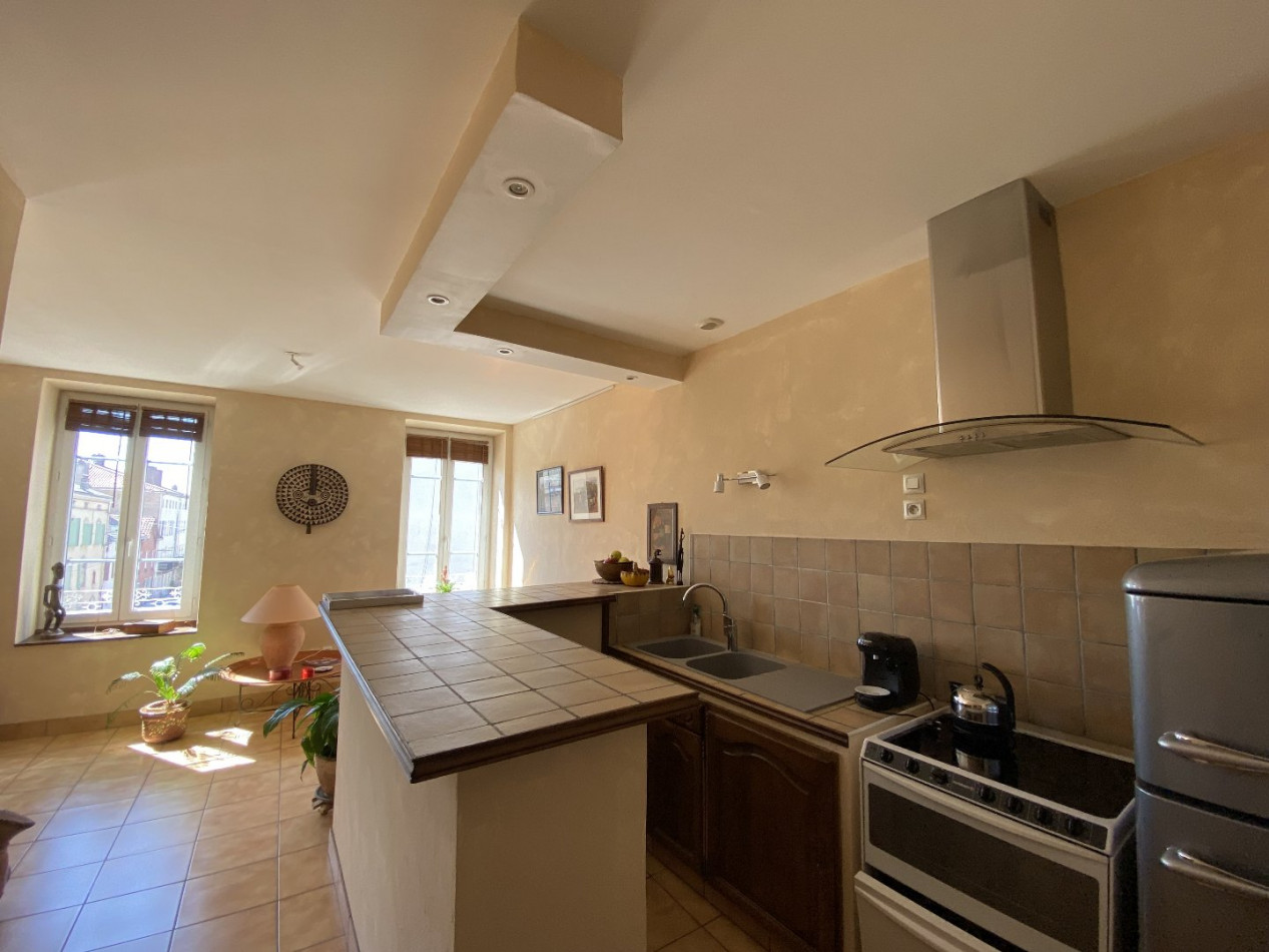 à vendre Appartement rénové Saint Laurent Sur Saone - Photo 1