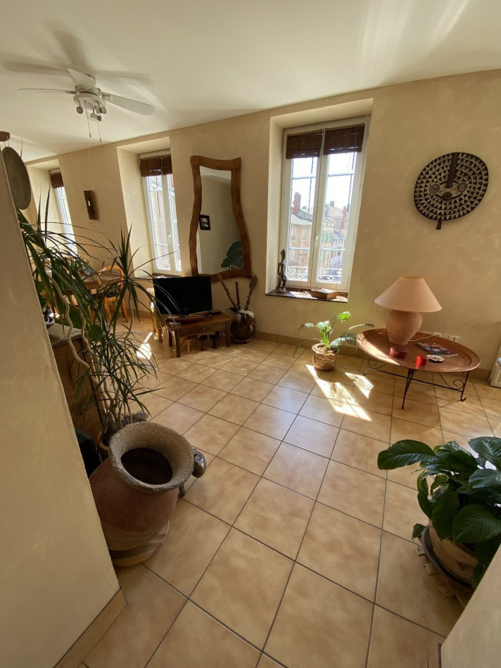 à vendre Appartement rénové Saint Laurent Sur Saone - Photo 5