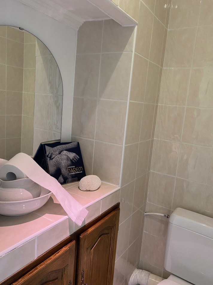 à vendre Appartement rénové Saint Laurent Sur Saone - Photo 11