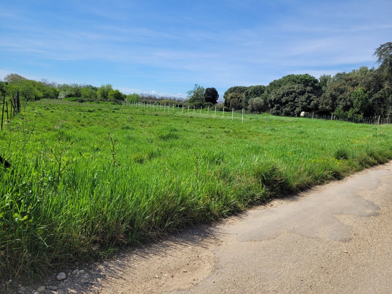 for sale Terrain agricole Manduel - Photo 3