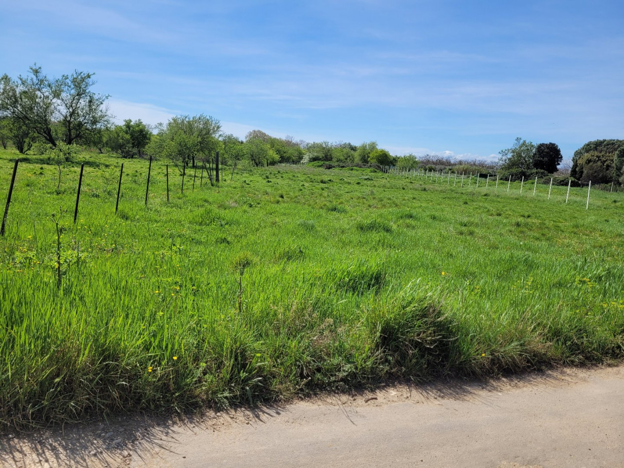 for sale Terrain agricole Manduel - Photo 1