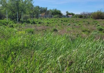 vente Terrain agricole Manduel