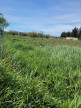 à vendre Terrain agricole Manduel