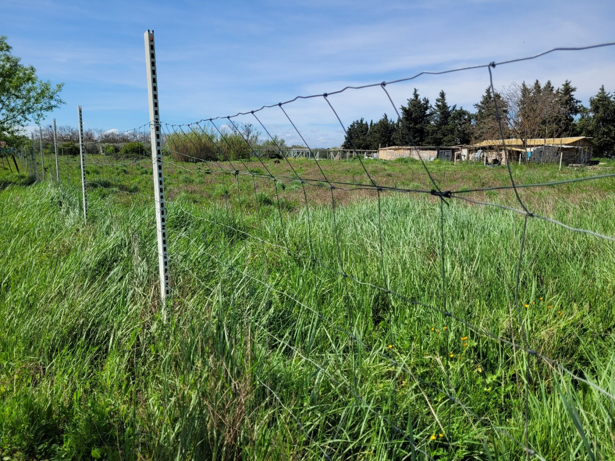  vendre Terrain agricole Manduel