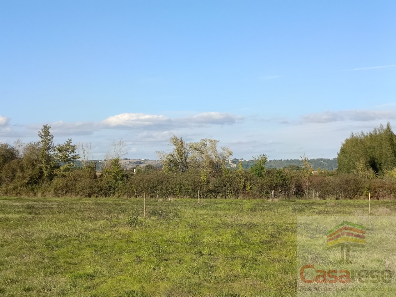 for sale Terrain à lotir Saint-nicolas-de-la-grave - Photo 1