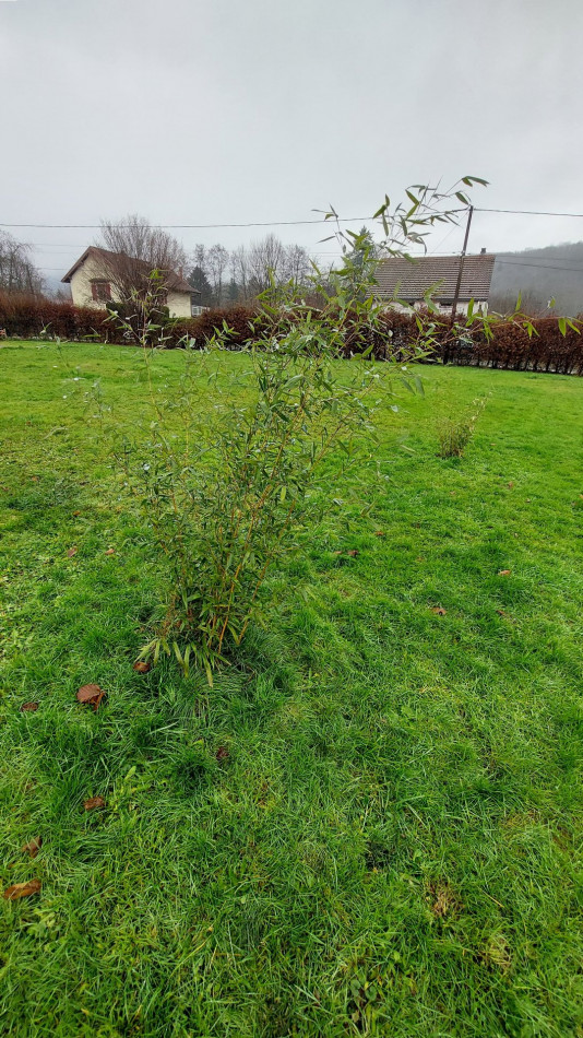 à vendre Chalet Plancher Bas - Photo 13