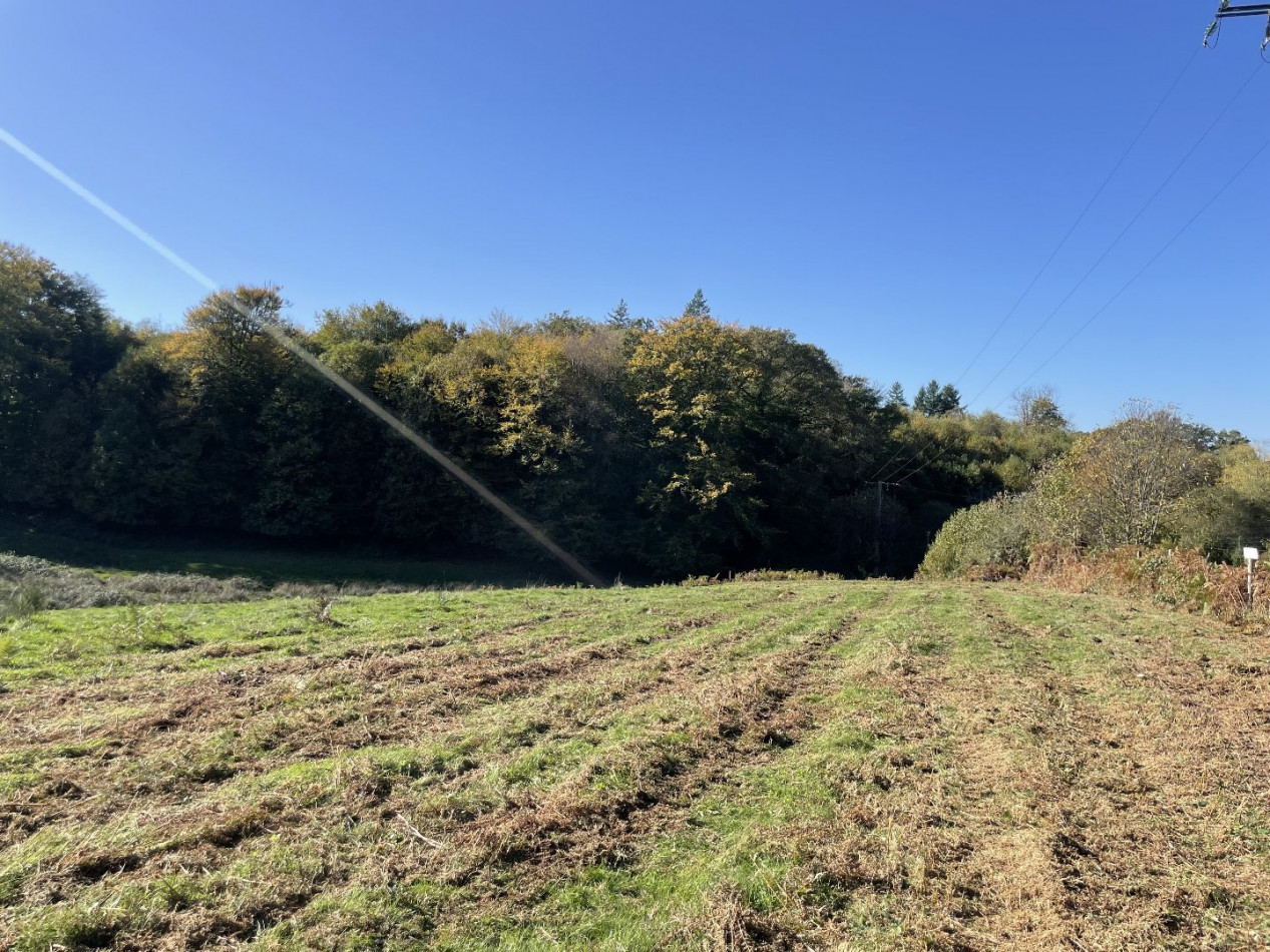 à vendre Terrain constructible Bonnac La Cote - Photo 1
