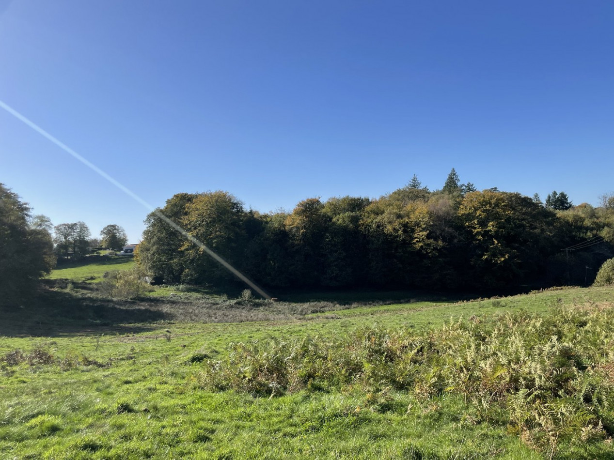 à vendre Terrain constructible Bonnac La Cote - Photo 6