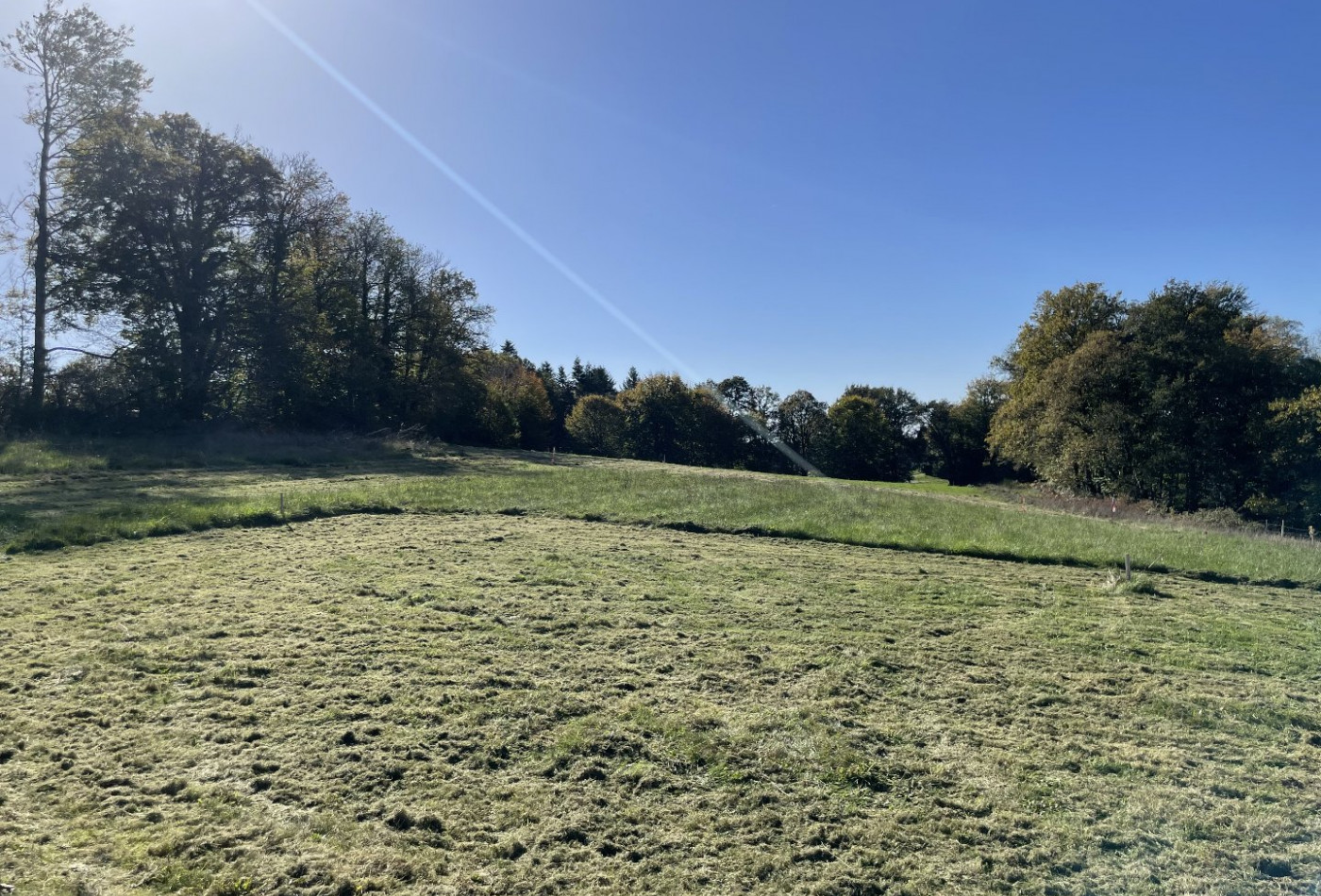 vente Terrain constructible Bonnac La Cote - Photo 3