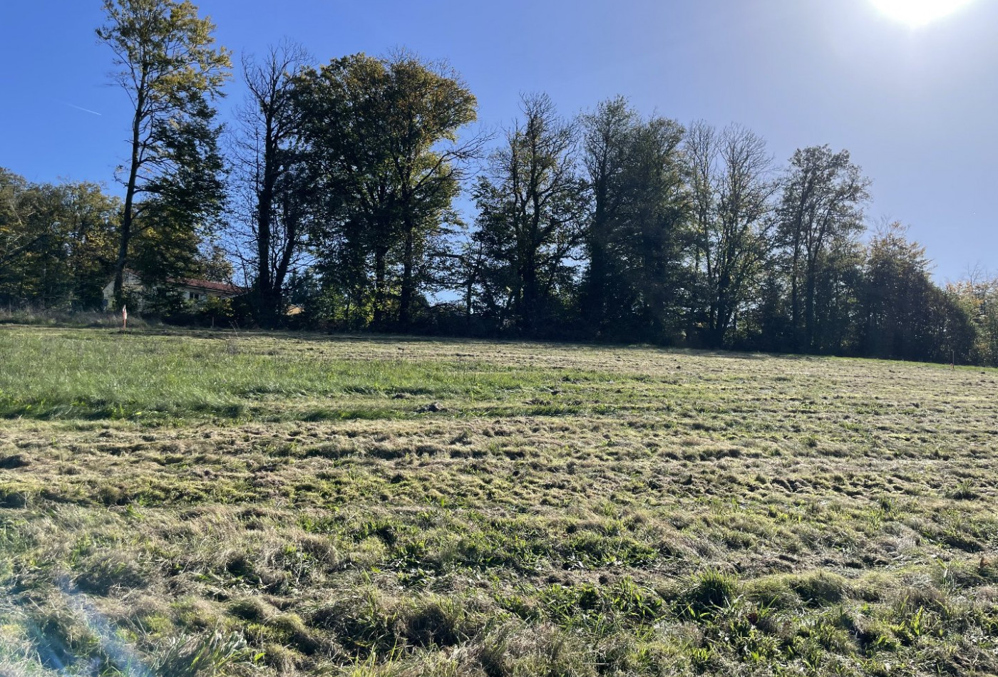 vente Terrain constructible Bonnac La Cote - Photo 9