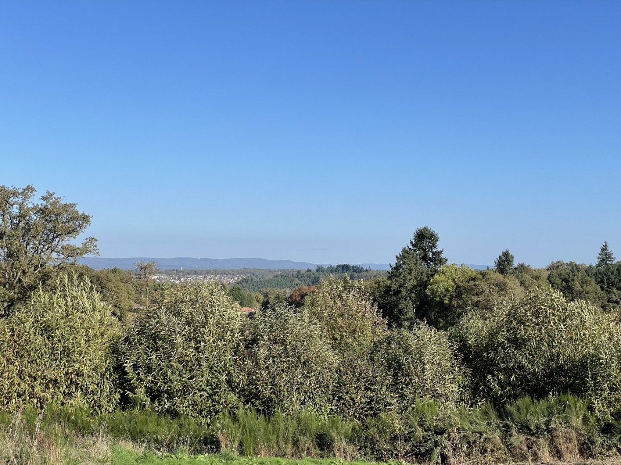 à vendre Terrain constructible Boisseuil - Photo 3