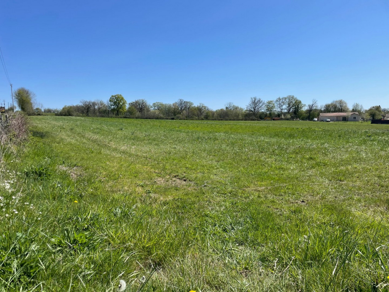 for sale Terrain à lotir Saint Genest Sur Roselle - Photo 3