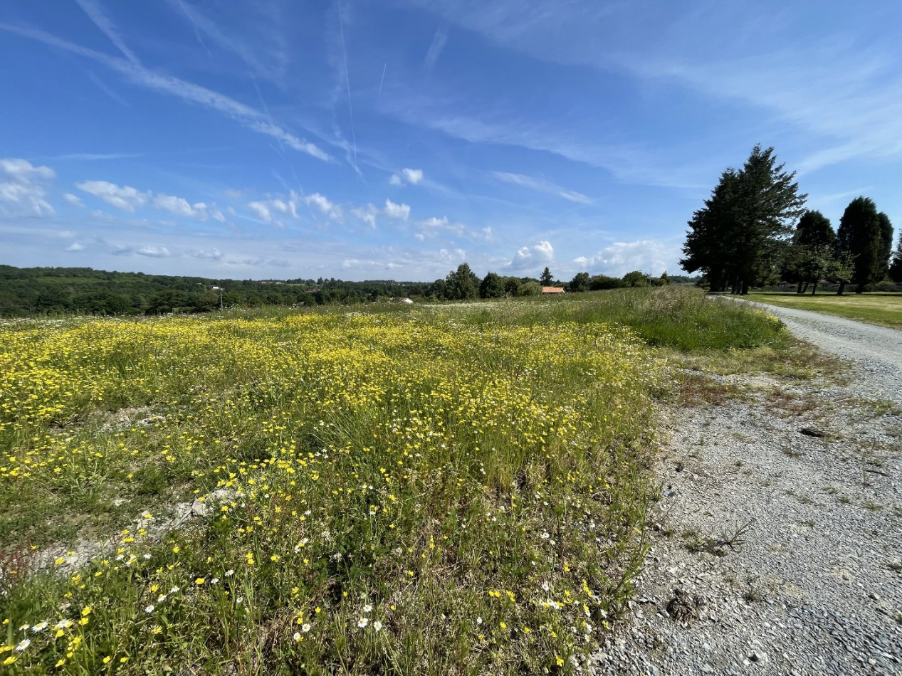 à vendre Terrain constructible Feytiat - Photo 15
