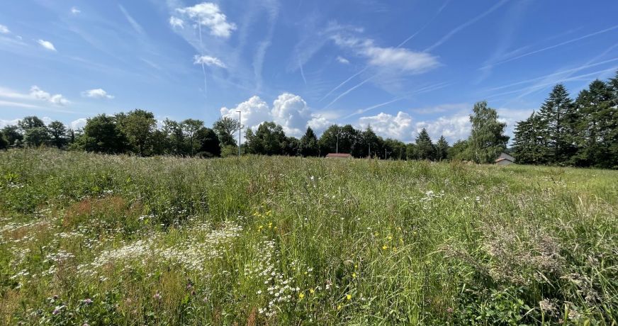 vente Terrain constructible Feytiat