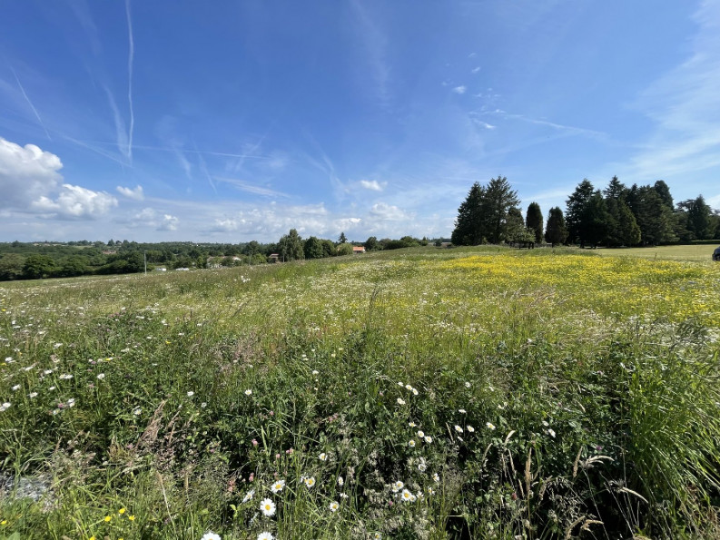 vente Terrain constructible Feytiat - Photo 10