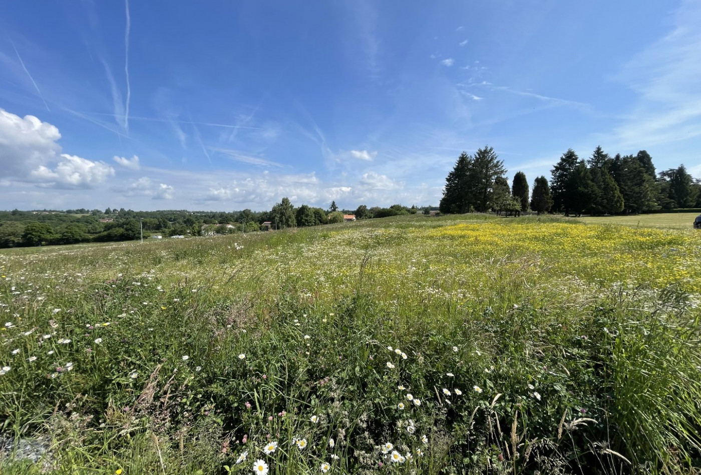 vente Terrain constructible Feytiat - Photo 10