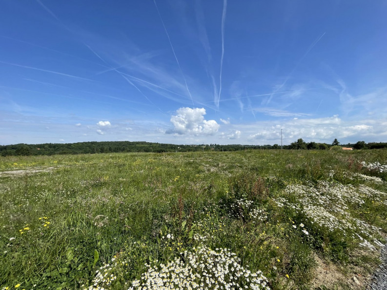 vente Terrain constructible Feytiat - Photo 6