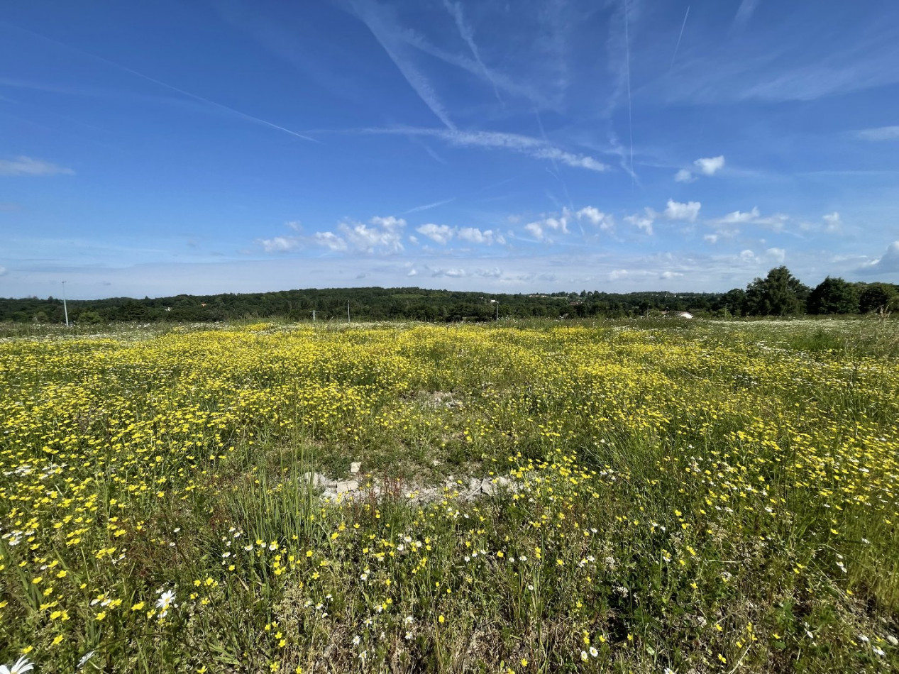 for sale Terrain constructible Feytiat - Photo 1