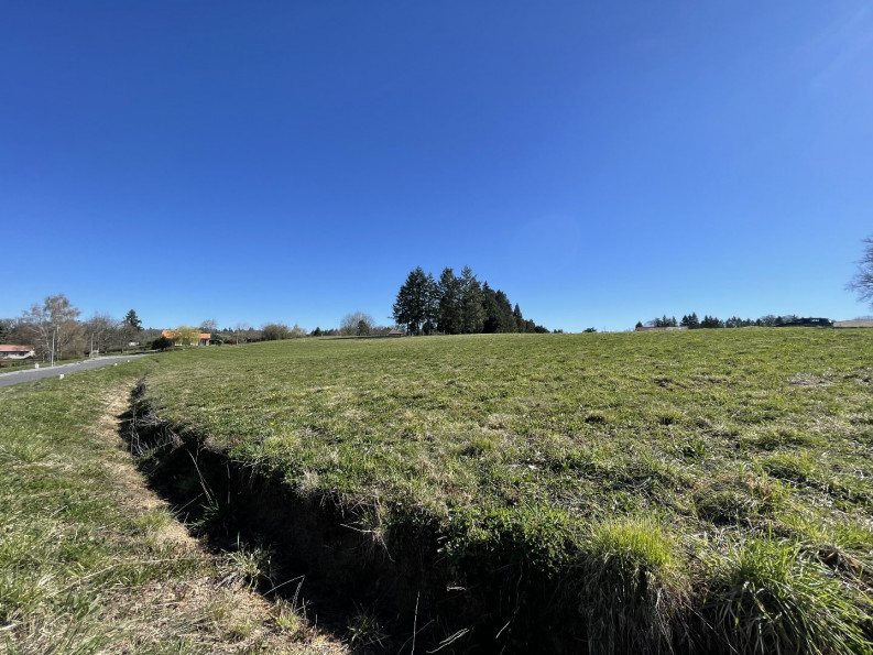 vente Terrain constructible Feytiat - Photo 3