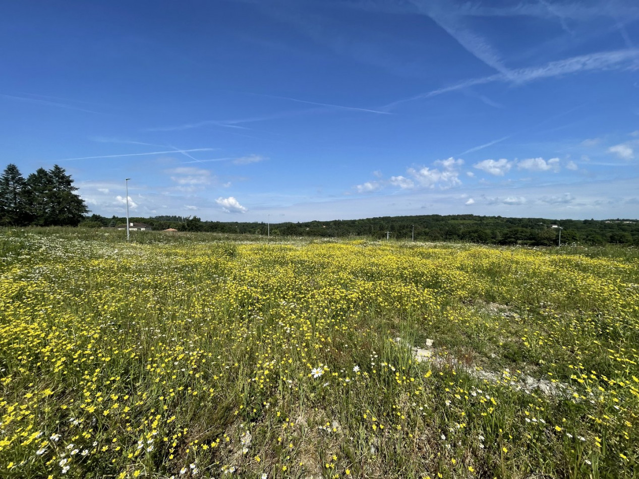 for sale Terrain constructible Feytiat - Photo 2