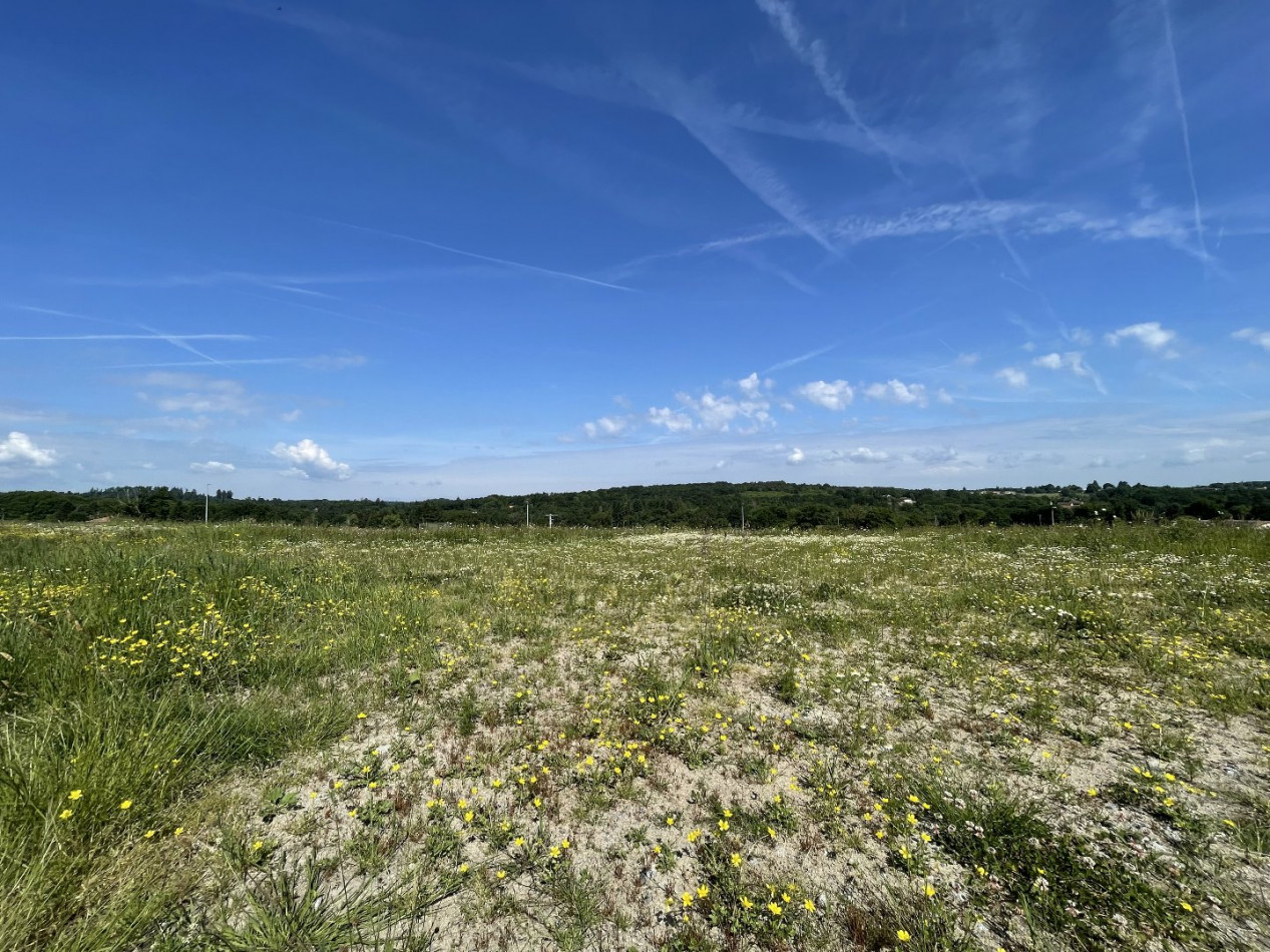 à vendre Terrain constructible Feytiat - Photo 14