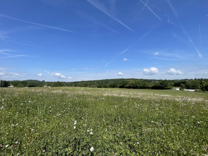 vente Terrain constructible Feytiat - Photo 3